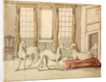 Three Greyhounds in a room by Pieter Casteels