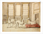 Three Greyhounds in a room by Pieter Casteels