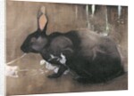 A Black Rabbit by Joseph Crawhall