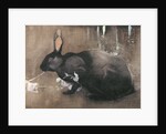 A Black Rabbit by Joseph Crawhall