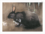 A Black Rabbit by Joseph Crawhall
