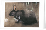 A Black Rabbit by Joseph Crawhall