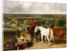 Exercising the royal horses, 1847-55 by John Frederick Herring Snr