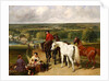 Exercising the royal horses, 1847-55 by John Frederick Herring Snr
