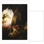 Tiger in a cave, c.1814 by Jacques-Laurent Agasse