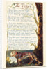 The Tyger by William Blake