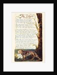 The Tyger by William Blake