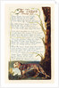 The Tyger by William Blake