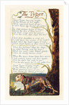 The Tyger by William Blake