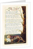 The Tyger by William Blake