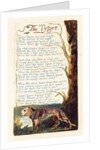 The Tyger by William Blake