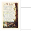 The Tyger by William Blake