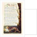 The Tyger by William Blake