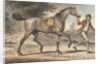Stable boy leading a trotting Horse in a landscape with a castle tower by John Collet