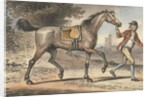 Stable boy leading a trotting Horse in a landscape with a castle tower by John Collet
