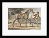 Stable boy leading a trotting Horse in a landscape with a castle tower by John Collet