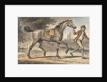 Stable boy leading a trotting Horse in a landscape with a castle tower by John Collet