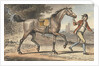 Stable boy leading a trotting Horse in a landscape with a castle tower by John Collet