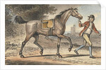 Stable boy leading a trotting Horse in a landscape with a castle tower by John Collet