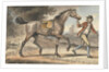 Stable boy leading a trotting Horse in a landscape with a castle tower by John Collet
