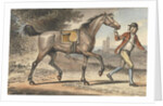 Stable boy leading a trotting Horse in a landscape with a castle tower by John Collet