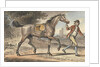 Stable boy leading a trotting Horse in a landscape with a castle tower by John Collet