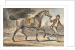 Stable boy leading a trotting Horse in a landscape with a castle tower by John Collet