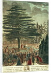Inauguration of the bust of Carl Linnaeus in the Jardin des Plantes, underneath the Cedar of Lebanon which he planted in 1646, 23rd August 1790 by French School