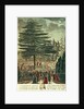 Inauguration of the bust of Carl Linnaeus in the Jardin des Plantes, underneath the Cedar of Lebanon which he planted in 1646, 23rd August 1790 by French School