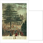 Inauguration of the bust of Carl Linnaeus in the Jardin des Plantes, underneath the Cedar of Lebanon which he planted in 1646, 23rd August 1790 by French School