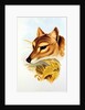 Tasmanian Wolf or Tiger by Henry Constantine Richter