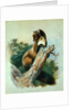 Pine Marten, 1919 by Archibald Thorburn