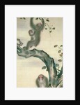 Family of Monkeys in a Tree by School Japanese