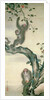 Family of Monkeys in a Tree by School Japanese