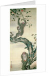 Family of Monkeys in a Tree by School Japanese