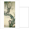 Family of Monkeys in a Tree by School Japanese