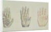 Hands of a primate and a human by English School