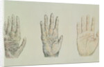 Hands of a primate and a human by English School