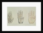 Hands of a primate and a human by English School