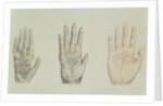 Hands of a primate and a human by English School