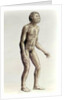 Homo habilis by Anonymous