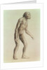 Australopithecus Africanus by English School