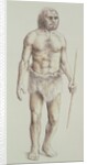 Neanderthal Man by English School
