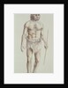 Neanderthal Man by English School