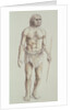 Neanderthal Man by English School