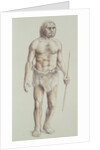 Neanderthal Man by English School