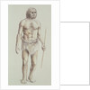 Neanderthal Man by English School