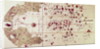 Map of the Old and New Worlds, c.1500 by Juan de la Cosa