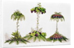 First Prize for Table Decoration, Royal Horticultural Society, 1851 by English School