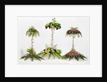 First Prize for Table Decoration, Royal Horticultural Society, 1851 by English School